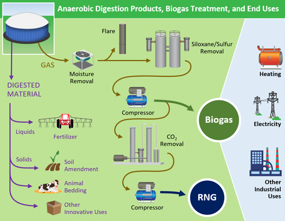 Anaerobic Digestion Products, Biogas Treatment, and End Uses